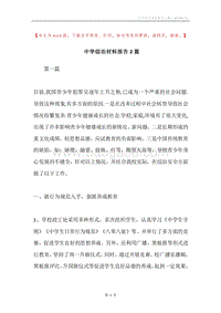 中学综治材料报告2篇.docx