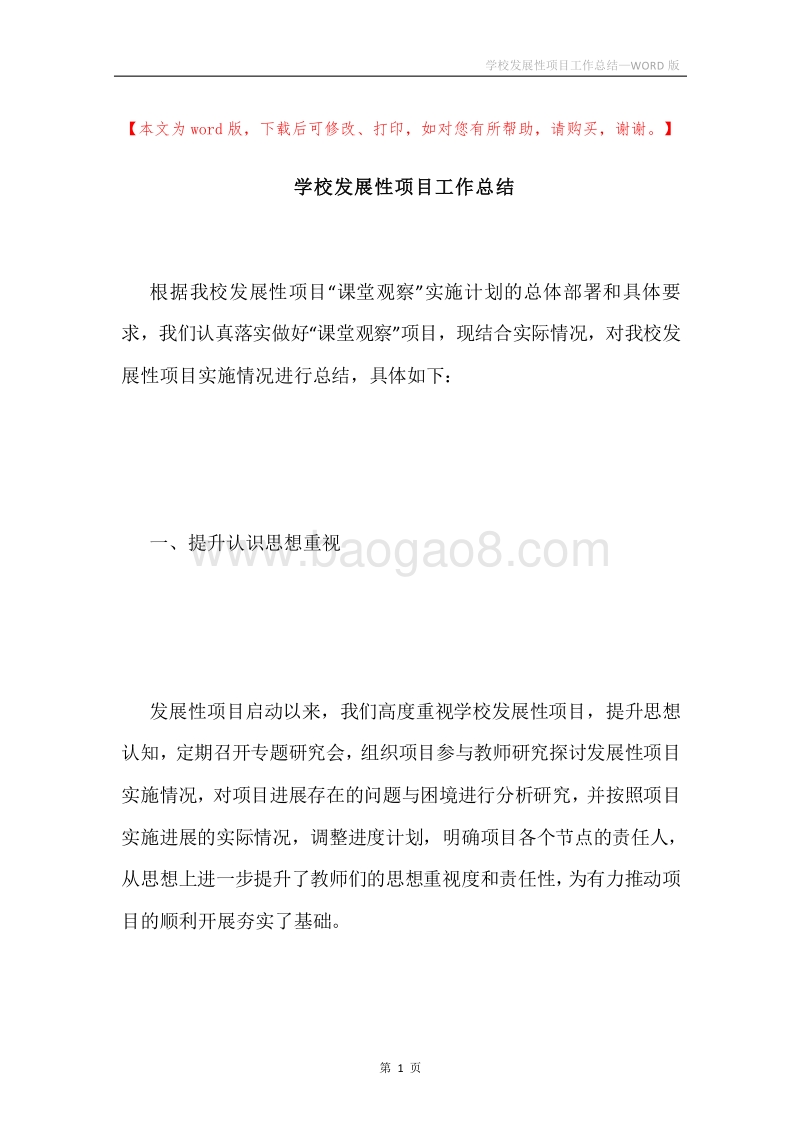 学校发展性项目工作总结.docx_第1页