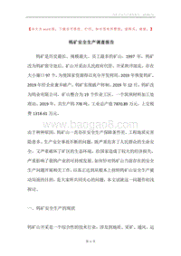 钨矿安全生产调查报告.docx