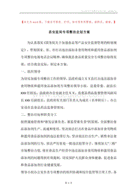 县安监局专项整治企划方案.docx