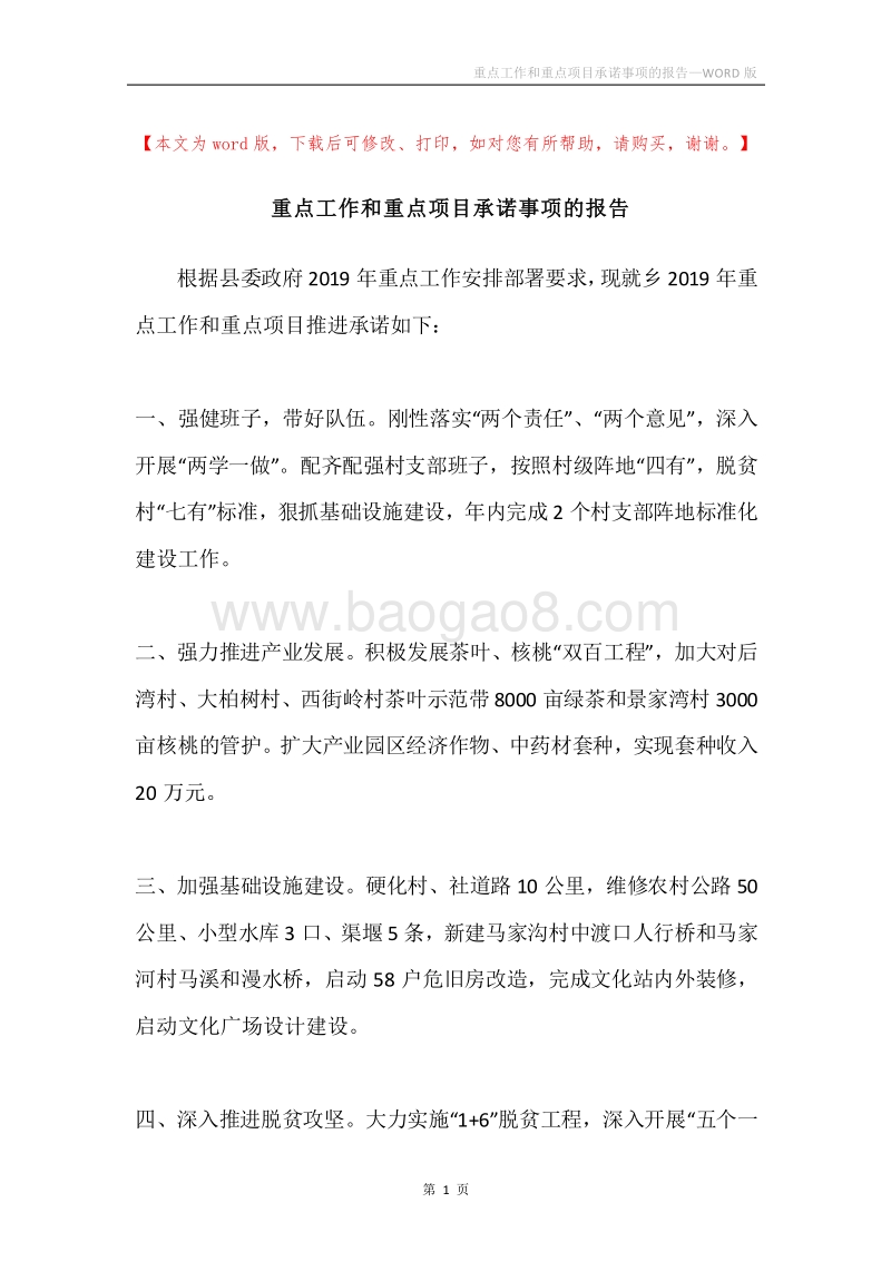 重点工作和重点项目承诺事项的报告.docx_第1页