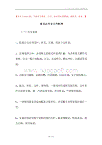 项目办行文工作制度.docx