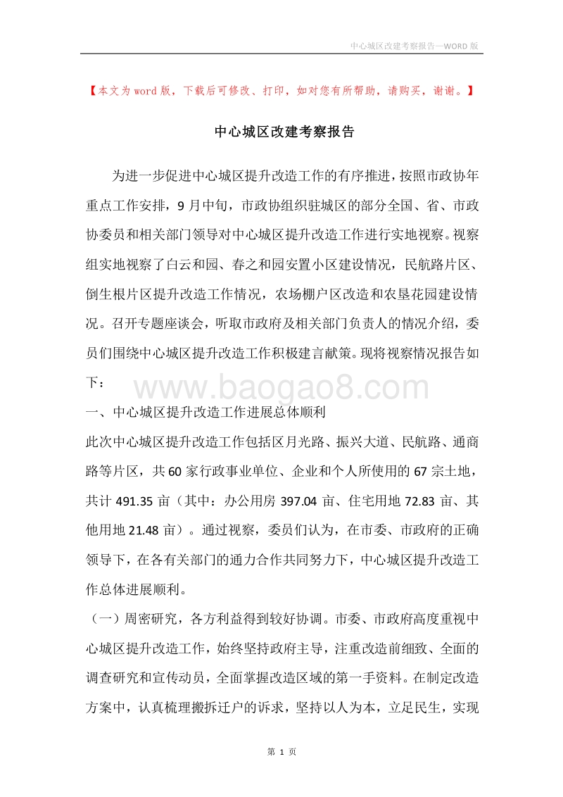 中心城区改建考察报告.docx_第1页