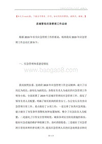 县城管局应急管理工作总结.docx