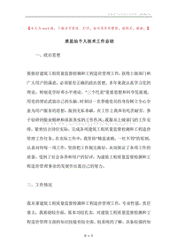 质监站个人技术工作总结.docx