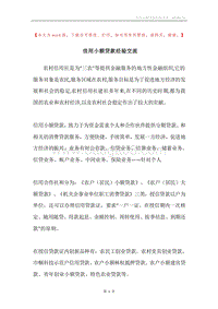 信用小额贷款经验交流.docx