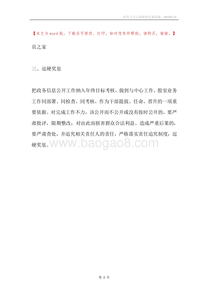 政务公开完成整顿实施措施.docx_第2页