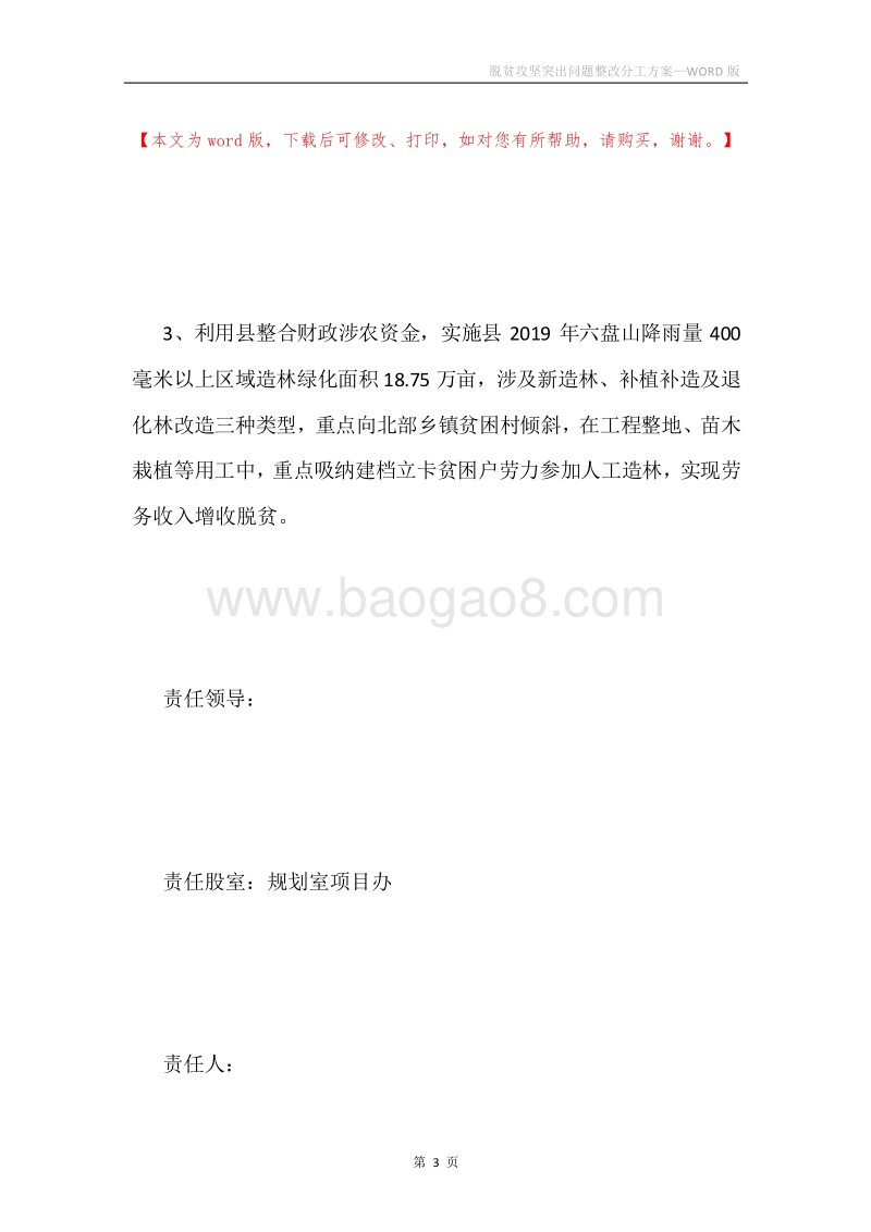 脱贫攻坚突出问题整改分工方案.docx_第3页