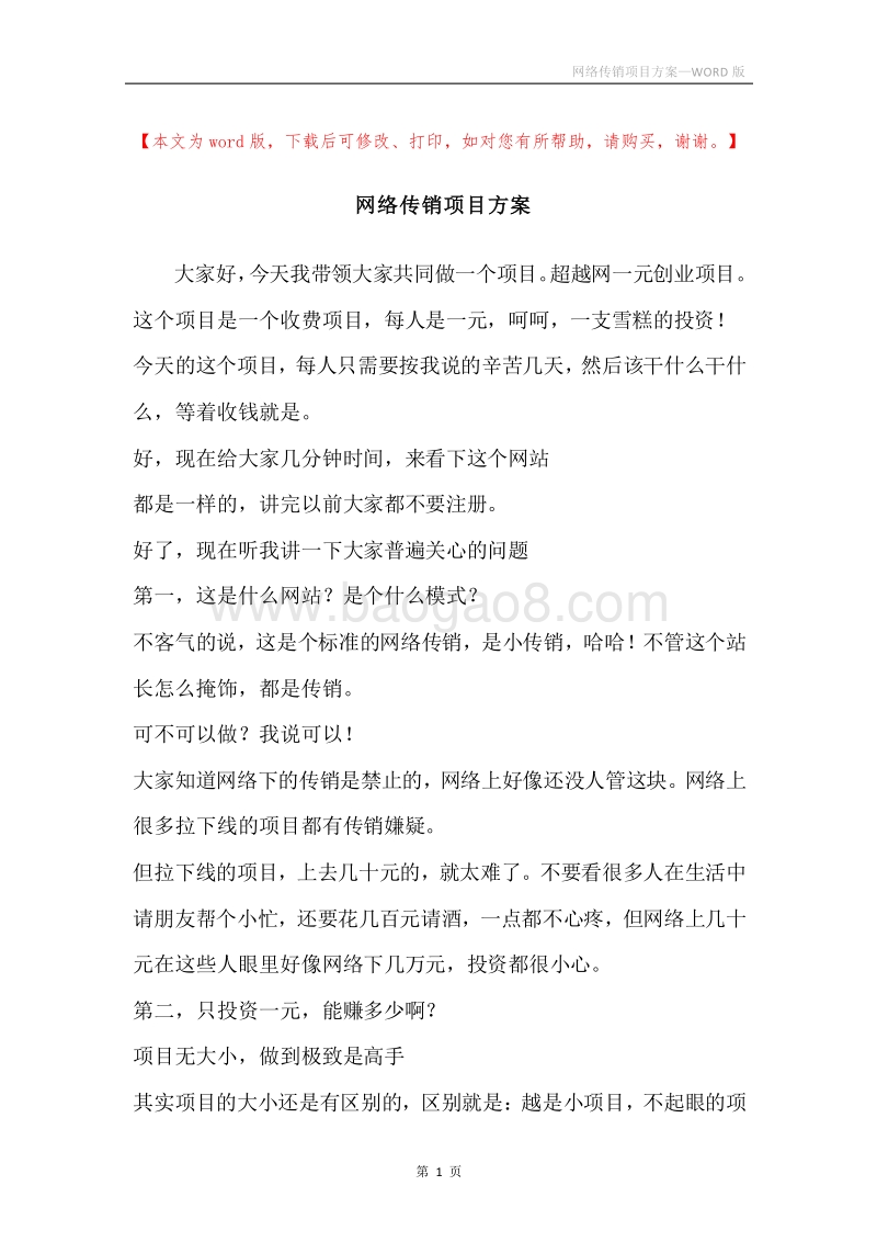 网络传销项目方案.docx_第1页