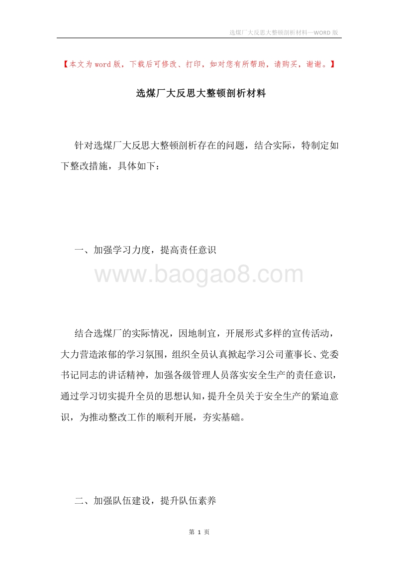 选煤厂大反思大整顿剖析材料.docx_第1页