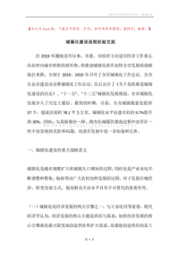 城镇化建设进程经验交流.docx