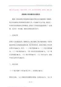 县级统计机构建设自查报告.docx