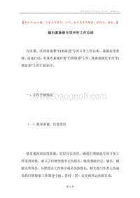 镇扫黑除恶专项半年工作总结.docx