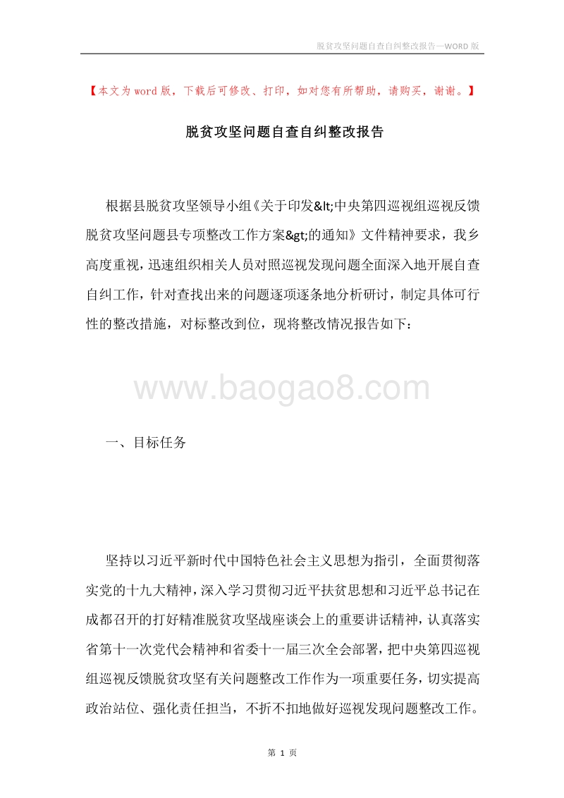 脱贫攻坚问题自查自纠整改报告.docx_第1页