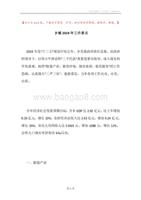 乡镇2019年工作要点.docx