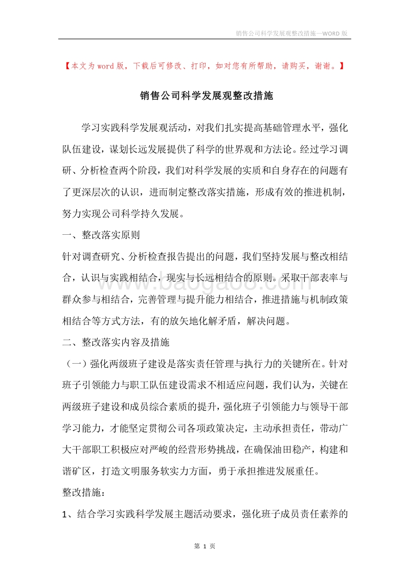 销售公司科学发展观整改措施.docx_第1页