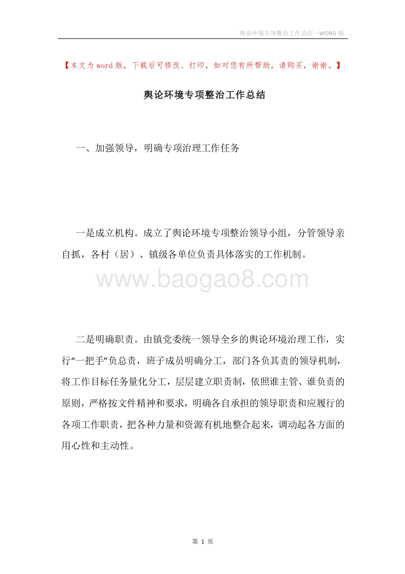 舆论环境专项整治工作总结.docx_第1页