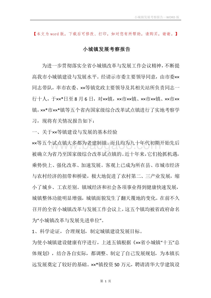 小城镇发展考察报告.docx_第1页