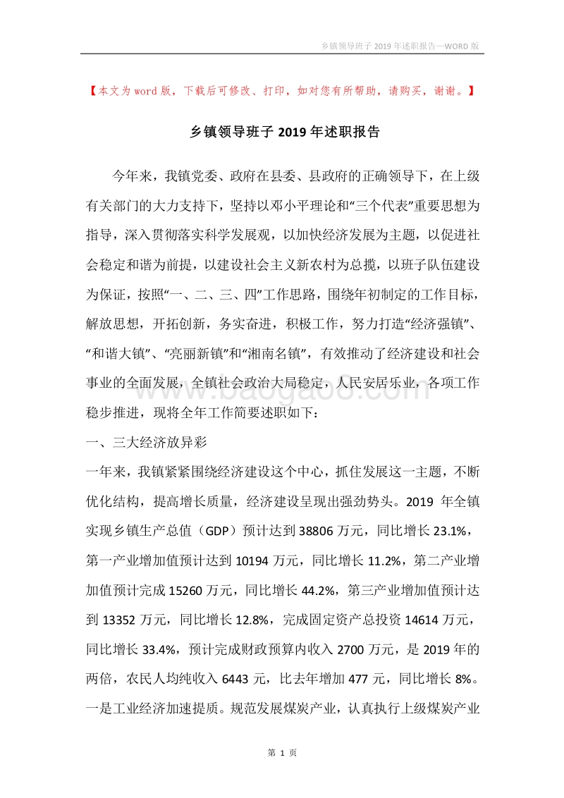 乡镇领导班子2019年述职报告.docx_第1页
