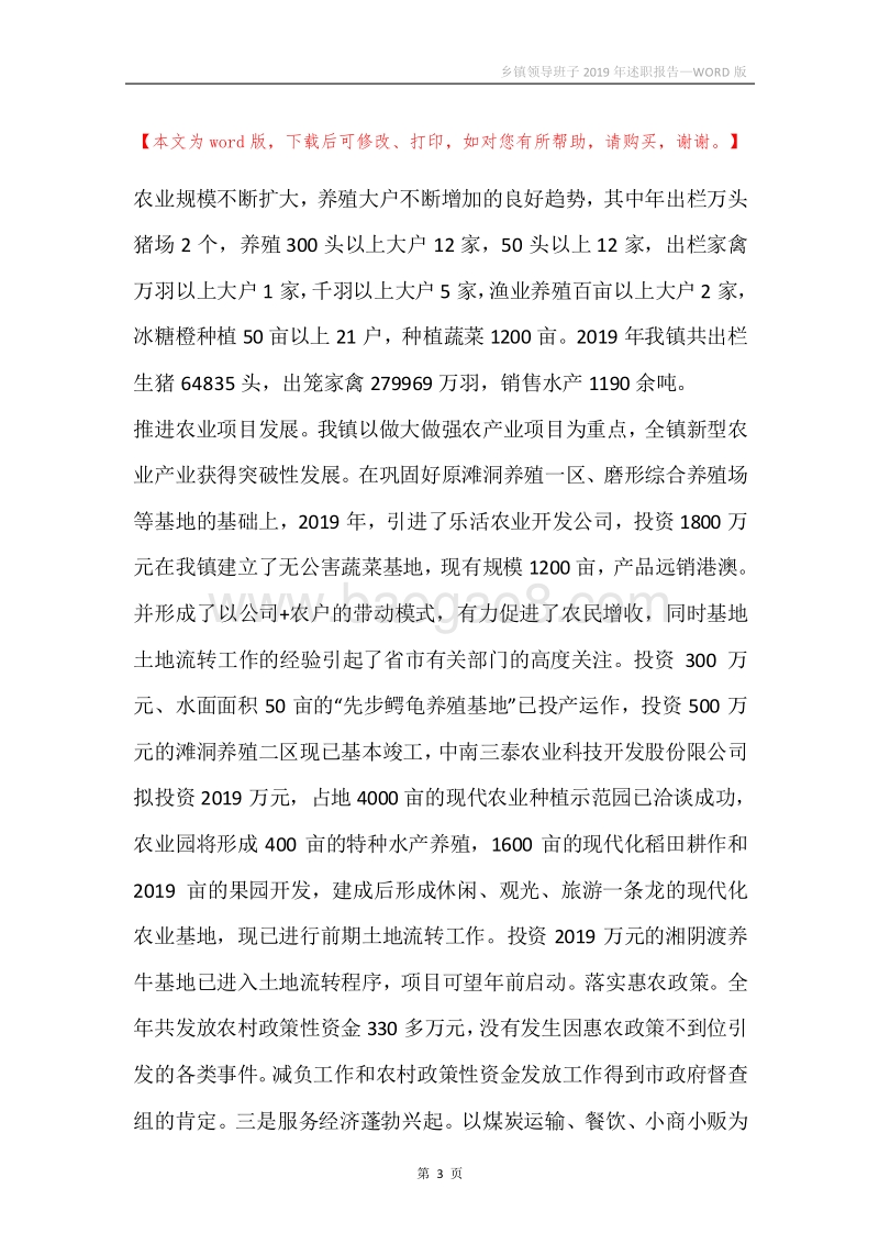乡镇领导班子2019年述职报告.docx_第3页