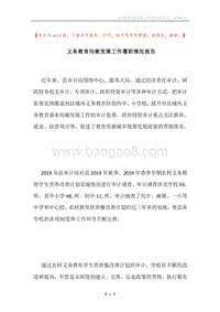 义务教育均衡发展工作履职情况报告.docx