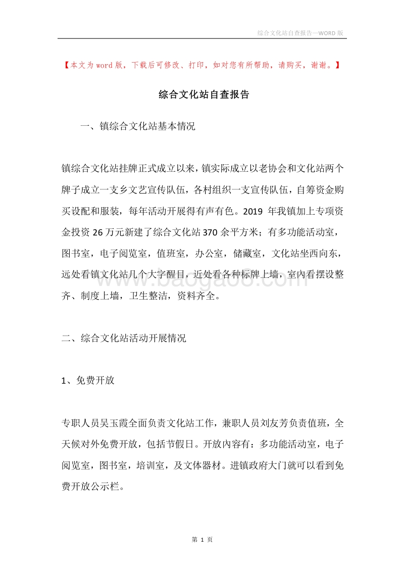 综合文化站自查报告.docx_第1页
