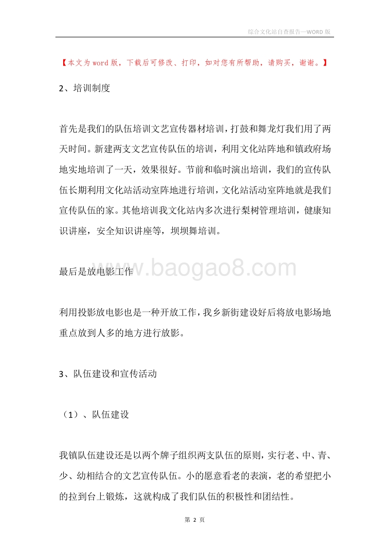 综合文化站自查报告.docx_第2页