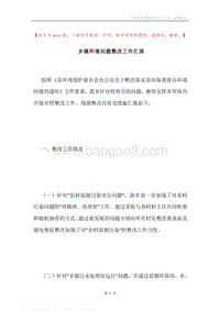 乡镇环境问题整改工作汇报.docx