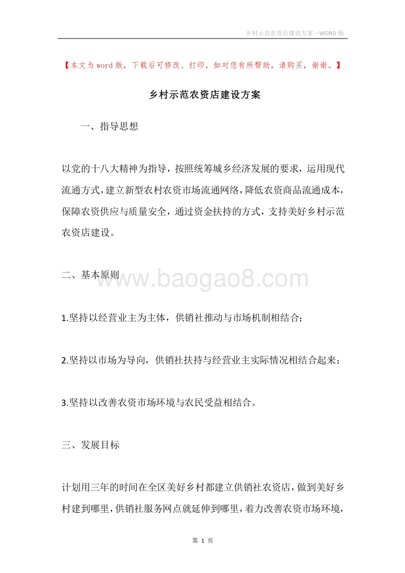 乡村示范农资店建设方案.docx_第1页