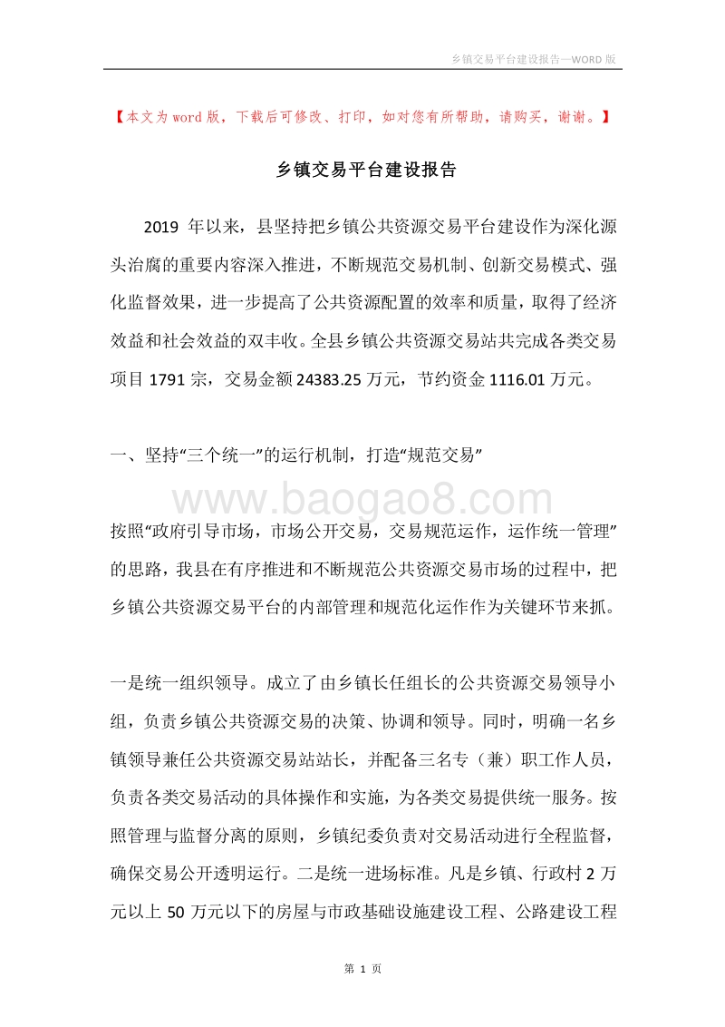 乡镇交易平台建设报告.docx_第1页