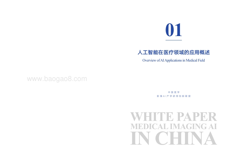 中国医学影像AI白皮书.pdf_第5页