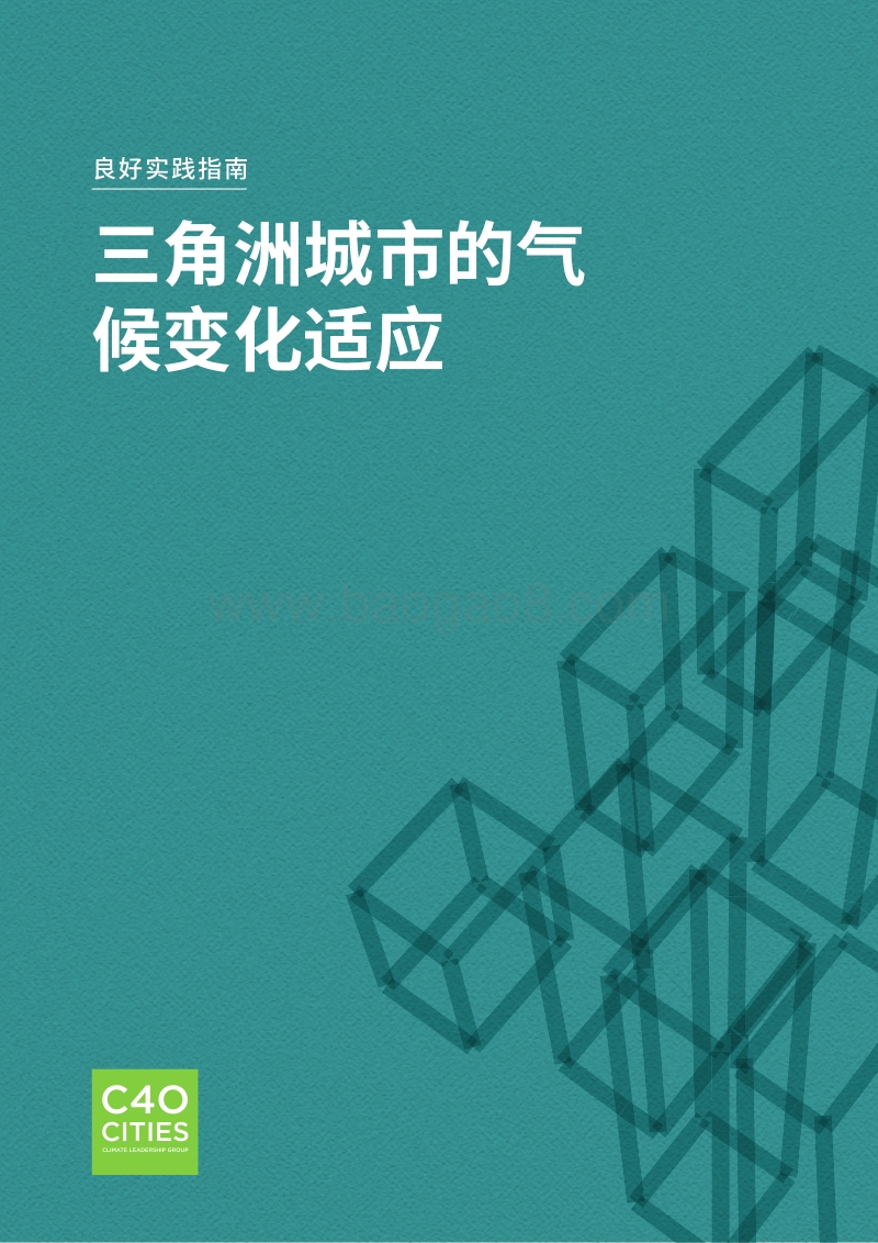 良好实践指南：三角洲城市的气候变化适应.pdf_第1页