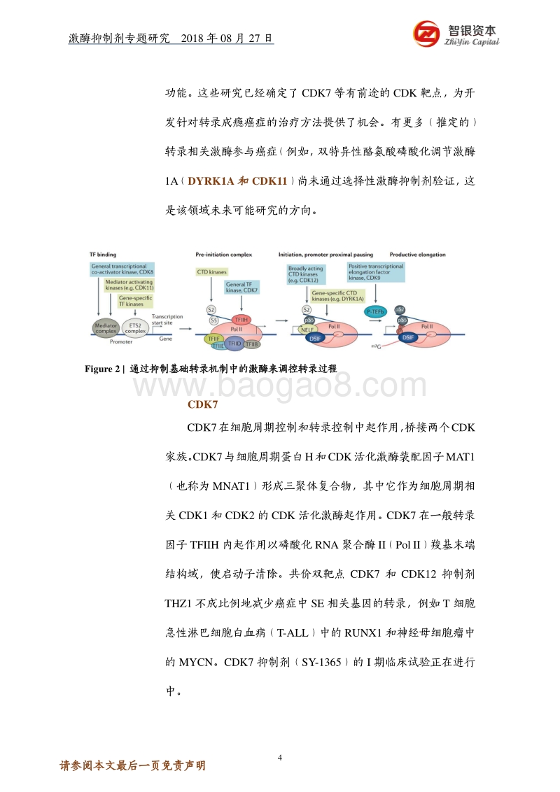激酶抑制剂：前方的路.pdf_第4页