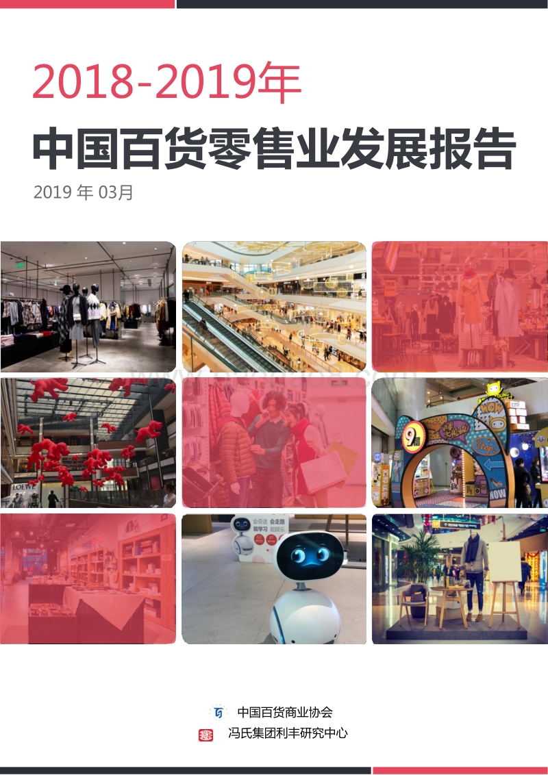 2018-2019中国百货零售业发展报告-中文.pdf_第1页