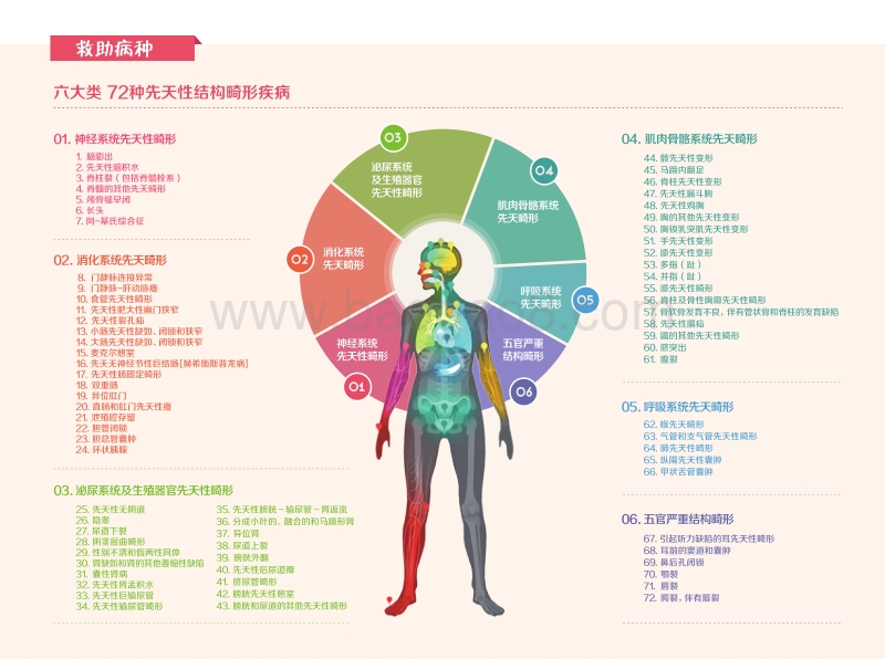 2019年版一分钟看懂先天性结构畸形救助项目.pdf_第5页