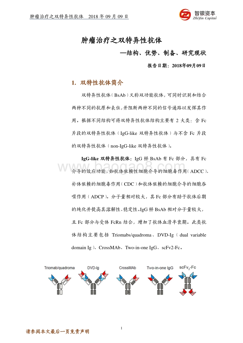 肿瘤治疗之双特异性抗体——结构、优势、制备、研究现状.pdf_第1页