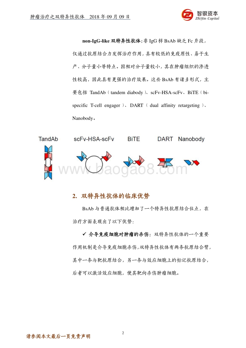 肿瘤治疗之双特异性抗体——结构、优势、制备、研究现状.pdf_第2页