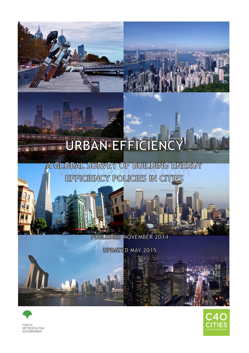 城市效率：全球城市建筑节能政策调查（英文版）.pdf_第1页