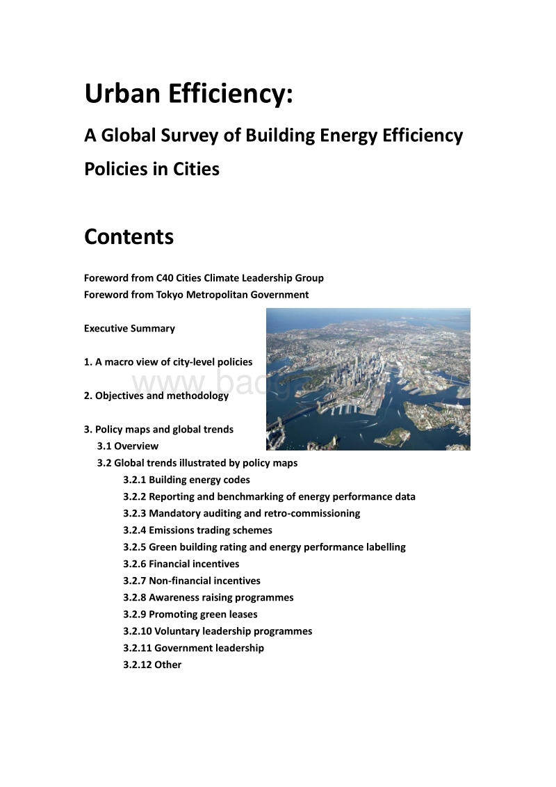 城市效率：全球城市建筑节能政策调查（英文版）.pdf_第2页