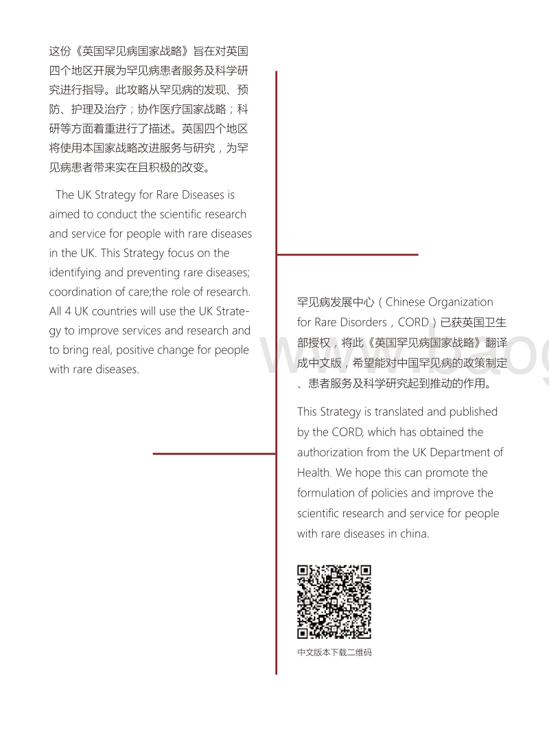 英国罕见病国家战略.pdf_第4页
