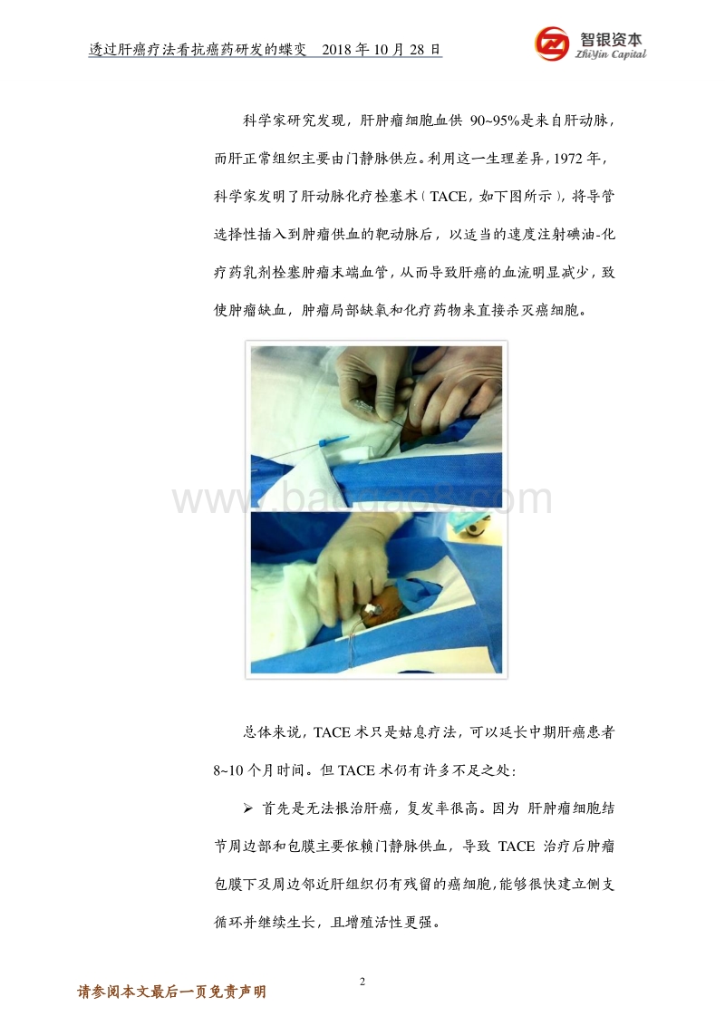 透过肝癌疗法看抗癌药研发的蝶变.pdf_第2页