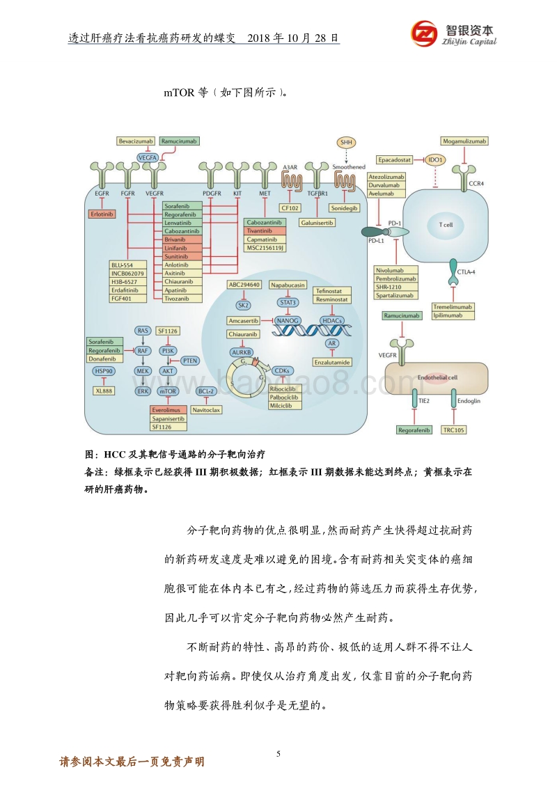 透过肝癌疗法看抗癌药研发的蝶变.pdf_第5页