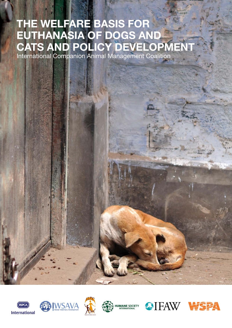 猫、狗安乐死的福利基础与政策制定（英文版）.pdf_第1页