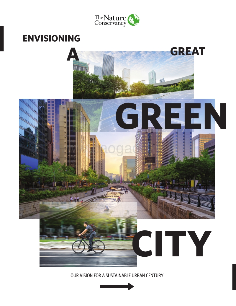 展望绿色大城市：我们对可持续城市世纪的愿景（英文版）(1).pdf_第1页