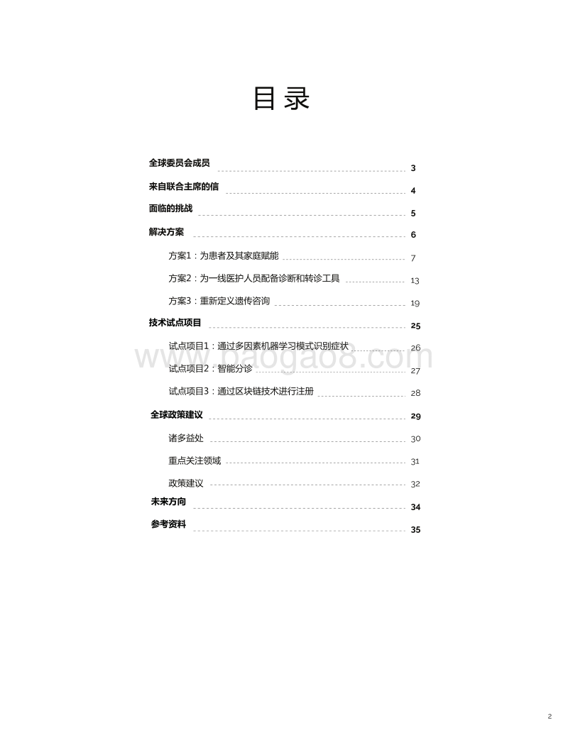消除罕见病患儿诊断壁垒全球委员会首份年度报告.pdf_第2页