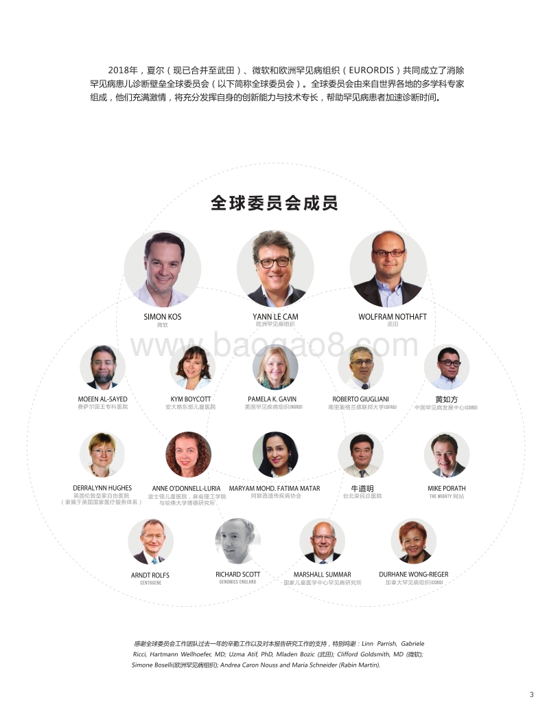 消除罕见病患儿诊断壁垒全球委员会首份年度报告.pdf_第3页