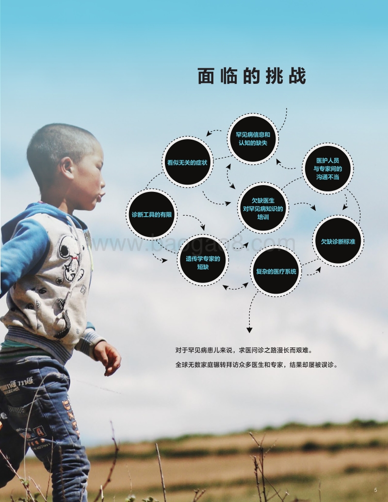 消除罕见病患儿诊断壁垒全球委员会首份年度报告.pdf_第5页