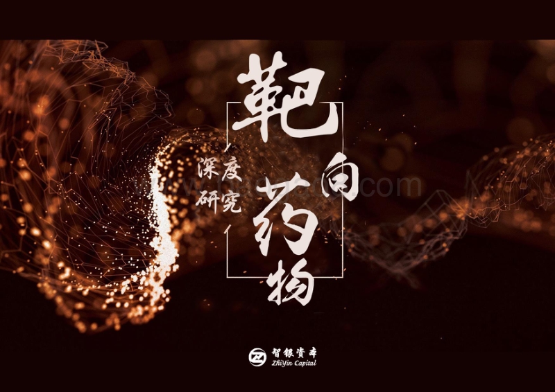 靶向药物深度研究报告.pdf_第1页