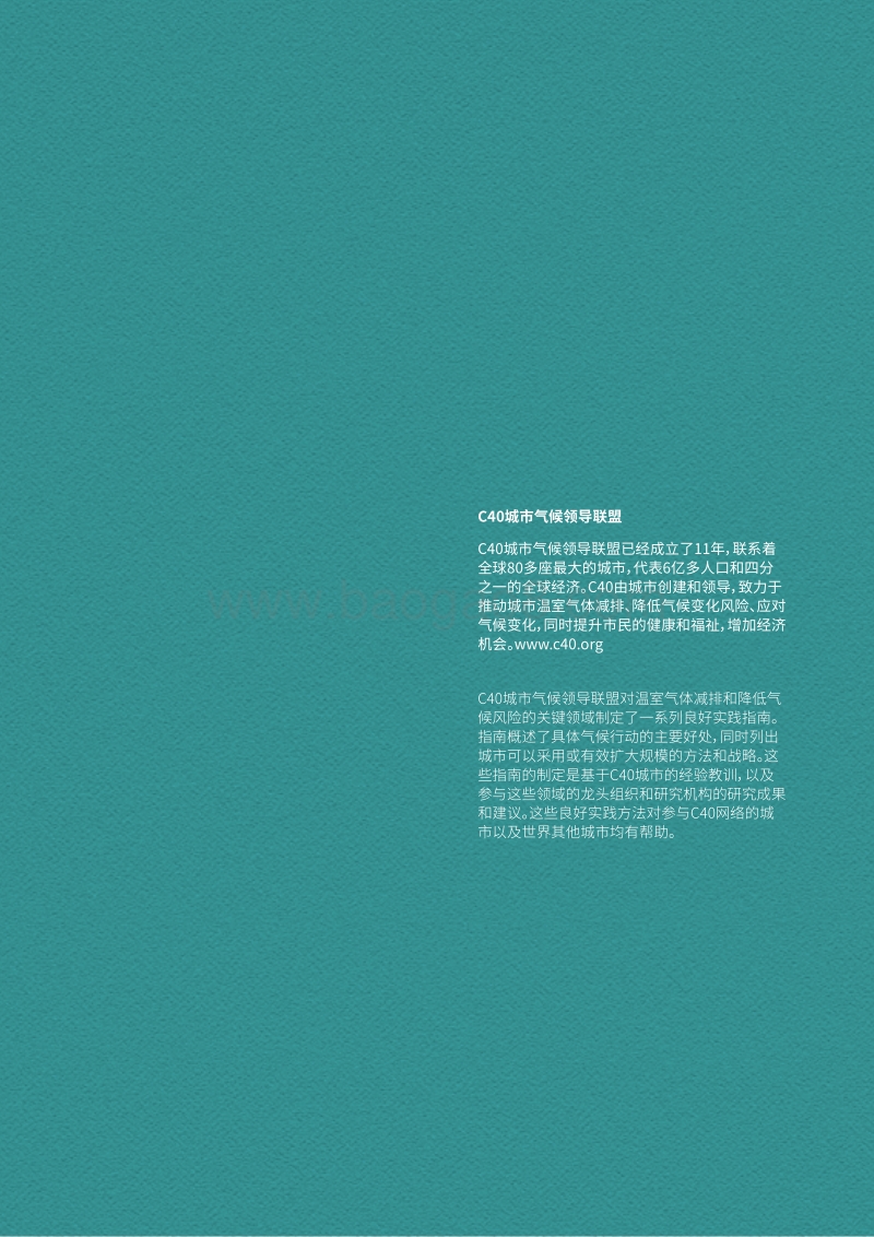 良好实践指南：公共交通导向发展.pdf_第2页