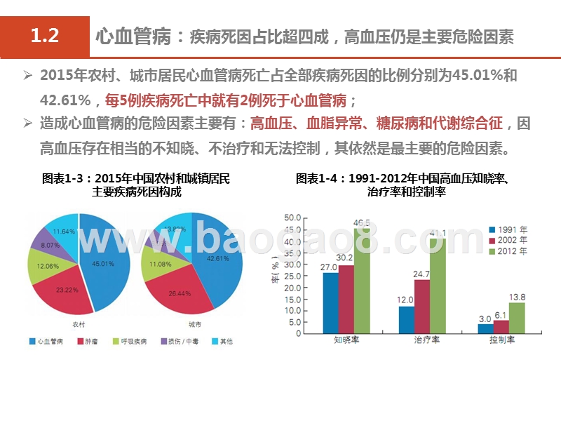 2019可降解心血管支架发展分析报告.pptx_第4页